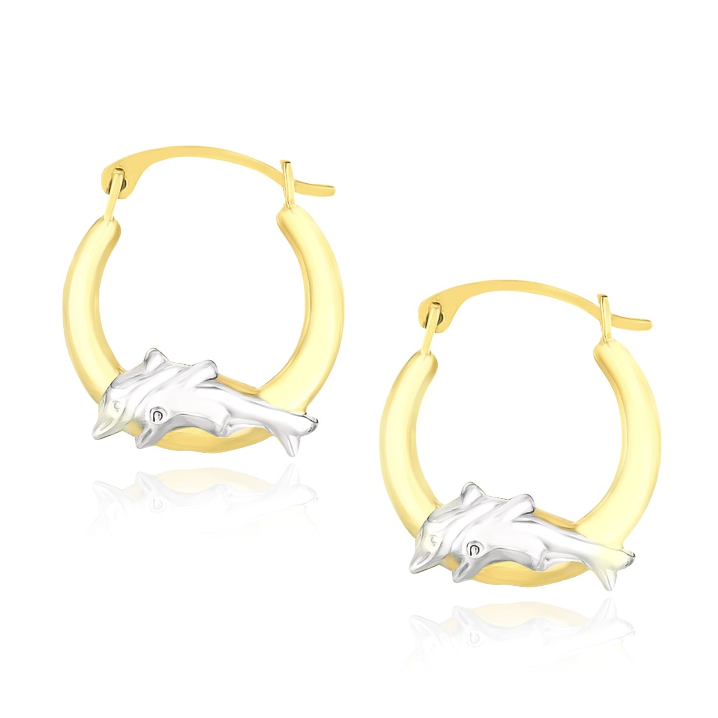 Dolphin Hoops